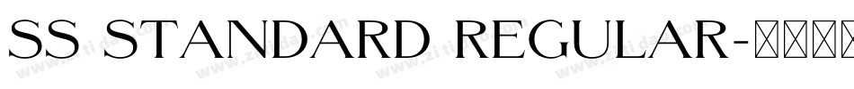 SS Standard Regular字体转换